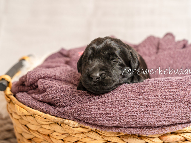 Frau Rosa nach 10 Tagen